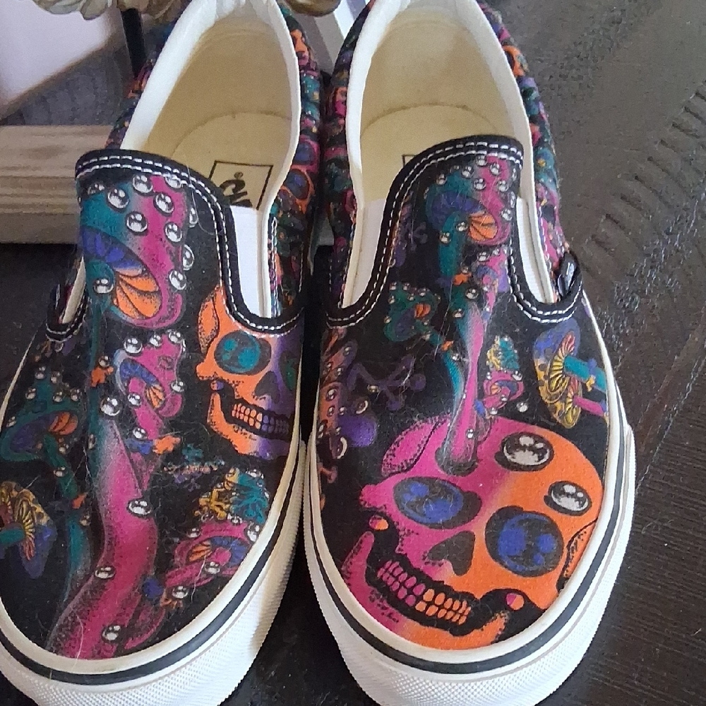 Vans Multicolor Artistic Slip-On Shoes